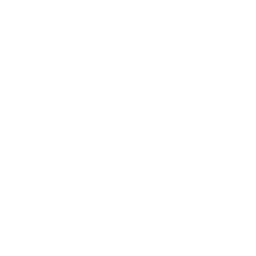 Roso Paard en Gedrag